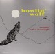 HOWLIN' WOLF-MOANIN' IN THE.. -HQ- (LP)