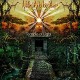 HILIGHT TRIBE-TEMPLE OF LIGHT (LP)