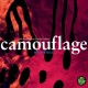 CAMOUFLAGE-MEANWHILE (2CD)