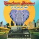 SOUTHERN AVENUE-BE THE LOVE YOU WANT (CD)