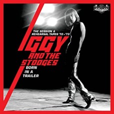 IGGY AND THE STOOGES-BORN IN A.. -CLAMSHEL- (4CD)