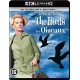 FILME-HITCHCOCK: THE BIRDS -4K- (DVD)