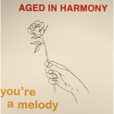 AGED IN HARMONY-YOU'RE A MELODY (3-7")