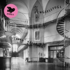 TROND KALLEVAG-FENGSELSFUGL (CD)