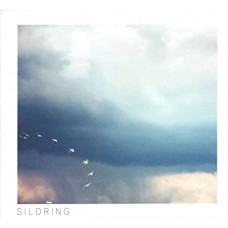JULIE & ANDREAS-ENE SILDRING (LP)