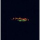 DRIFTEN-DRIFTEN (LP)