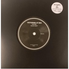 VICTORIES AT SEA-ICE DATA CENTRE (7")