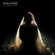 HALLOWS-ALL THAT IS TRUE -LTD- (LP)