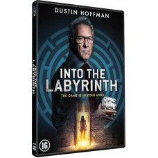 FILME-INTO THE LABYRINTH (DVD)