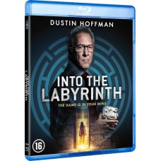 FILME-INTO THE LABYRINTH (BLU-RAY)