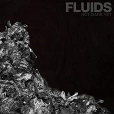 FLUIDS-NOT DARK YET (CD)