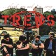 TREWS-THANK YOU AND I'M SORRY (12")