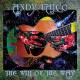 ANDY FALCO-WILL OF THE WAY (LP)