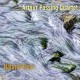 ARTHUR POSSING QUARTET-NATURAL FLOW (CD)