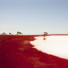 PETER KNIGHT & AUSTRALIAN ART ORCHESTRA-CROSSED & RECROSSED (LP)