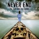 NEVER END-COLD AND THE CRAVING (CD)