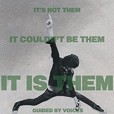 GUIDED BY VOICES-IT'S NOT THEM. IT.. (CD)