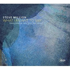 STEVE MILLION-WHAT I MEANT TO SAY (CD)
