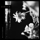 JINJER-WALLFLOWERS (LP)