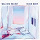 BEACH BODY-WALKING HOLIDAY (LP)