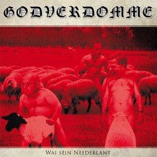 GODVERDOMME (TIM STEINFORD)-WAI SEIN NEEDERLANT! (CD)