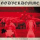 GODVERDOMME (TIM STEINFORD)-WAI SEIN NEEDERLANT! (LP)