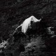 FUZZY LIGHTS-BURIALS (LP)
