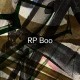 RP BOO-ESTABLISHED! (2LP)