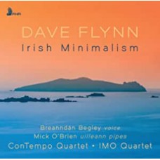 DAVE FLYNN-IRISH MINIMALISM (CD)
