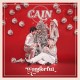 CAIN & ABEL-WONDERFUL (CD)