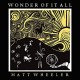 MATT WHEELER-WONDER OF IT ALL -LTD- (LP)