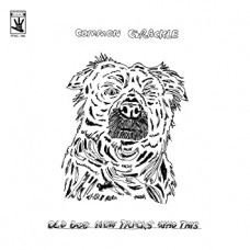 COMMON GRACKLE-OLD DOG NEW.. -DOWNLOAD- (LP)
