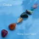 HEALING SOUND PROJECT-CHAKRAS (CD)