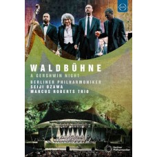 BERLINER PHIHARMONIKER-A GERSHWIN NIGHT (DVD)
