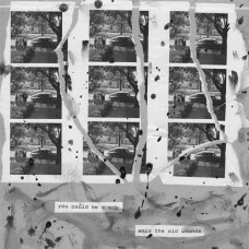 YOU COULD BE A COP/AMID T-SPLIT -SPLIT- (LP)