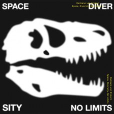 DAMIANO VON ERCKERT-SPACE, DIVERSITY, NO.. (12")