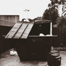 DOPPELGANGAZ-DUMPSTER DIVE -LTD- (LP)