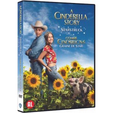 FILME-A CINDERELLA STORY:.. (DVD)