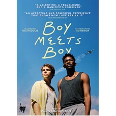 FILME-BOY MEETS BOY (DVD)