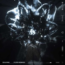 SCALPING-FLOOD REMIXED (12")