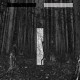 CHRIS LIEBING-ANOTHER DAY (2LP)
