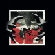 WOLVES IN HAZE-CHAOS REIGNS (CD)