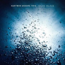 HARTWIN DHOORE TRIO-VALGE VALGUS (CD)