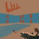 ANDY SHAUF-WILDS -GATEFOLD- (LP)