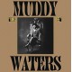 MUDDY WATERS-KING BEE -COLOURED- (LP)