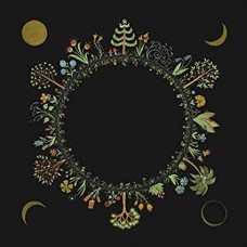 LAURA STEVENSON-WHEEL (LP)