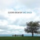 ELEVENTH DREAM DAY-SINCE GRAZED (CD)