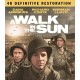 FILME-A WALK IN.. -COLL. ED- (BLU-RAY)