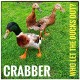 CRABBER-WHO LET THE DUCKS OUT? (CD)