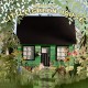 ANXIOUS-LITTLE GREEN HOUSE (CD)
